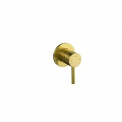 Flova Levo Single Outlet Manual Valve Brushed Brass