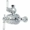 Perrin & Rowe Exposed Thermostatic Shower With Levers Pewter