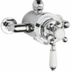 Premier® Premier Victorian Dual Thermostatic Shower Valve