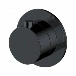 RAK Petit Round 2 Outlet Concealed Diverter Matt Black