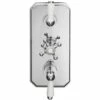 Synergy Henbury 2 Way Themostatic Concealed Shower Valve